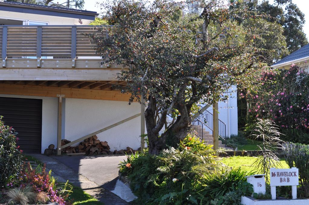 16 Havelock Bed and Breakfast New Plymouth Eksteriør billede