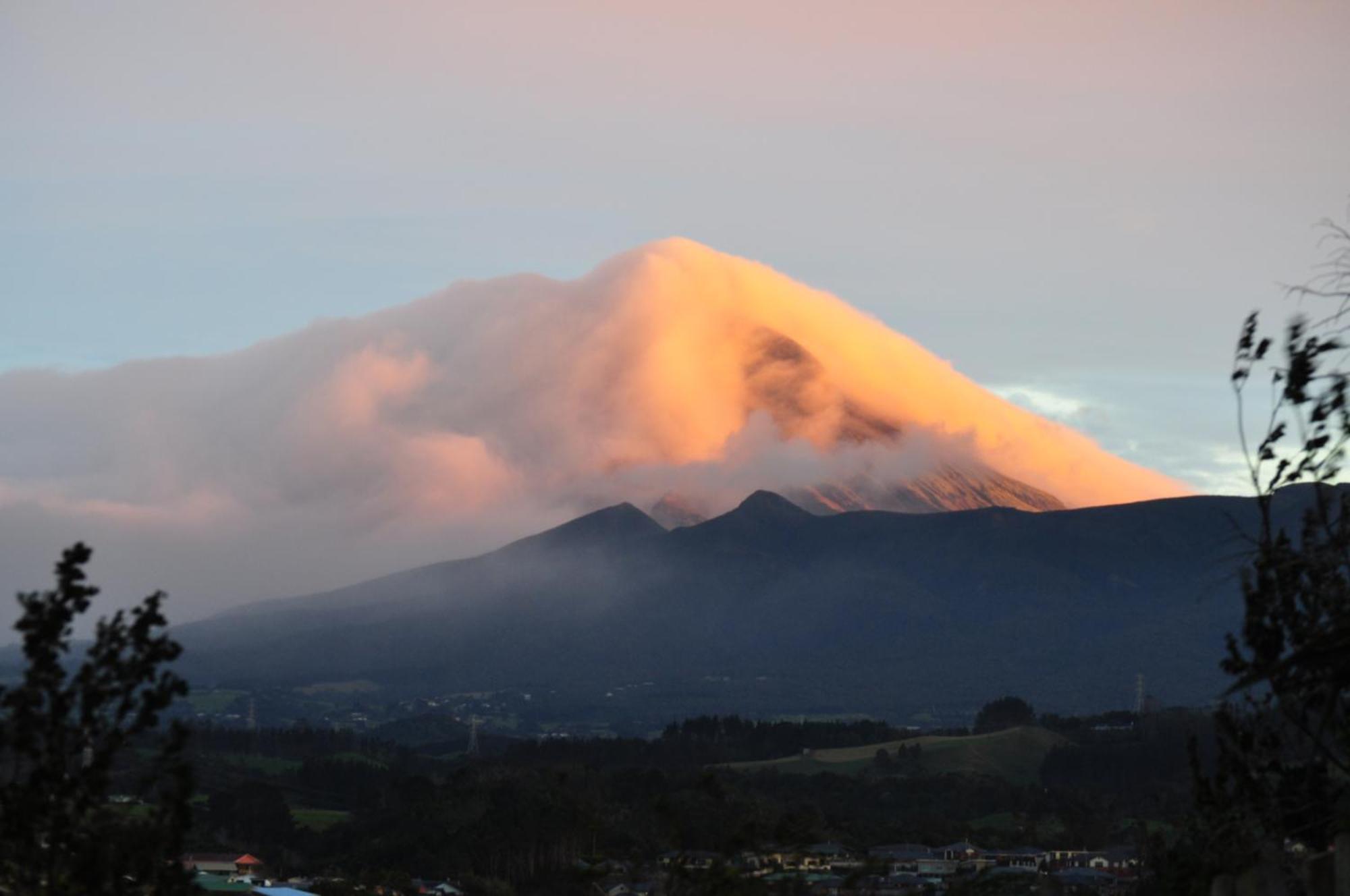 16 Havelock Bed and Breakfast New Plymouth Eksteriør billede