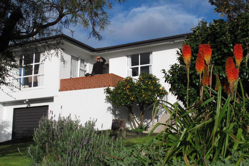 16 Havelock Bed and Breakfast New Plymouth Eksteriør billede