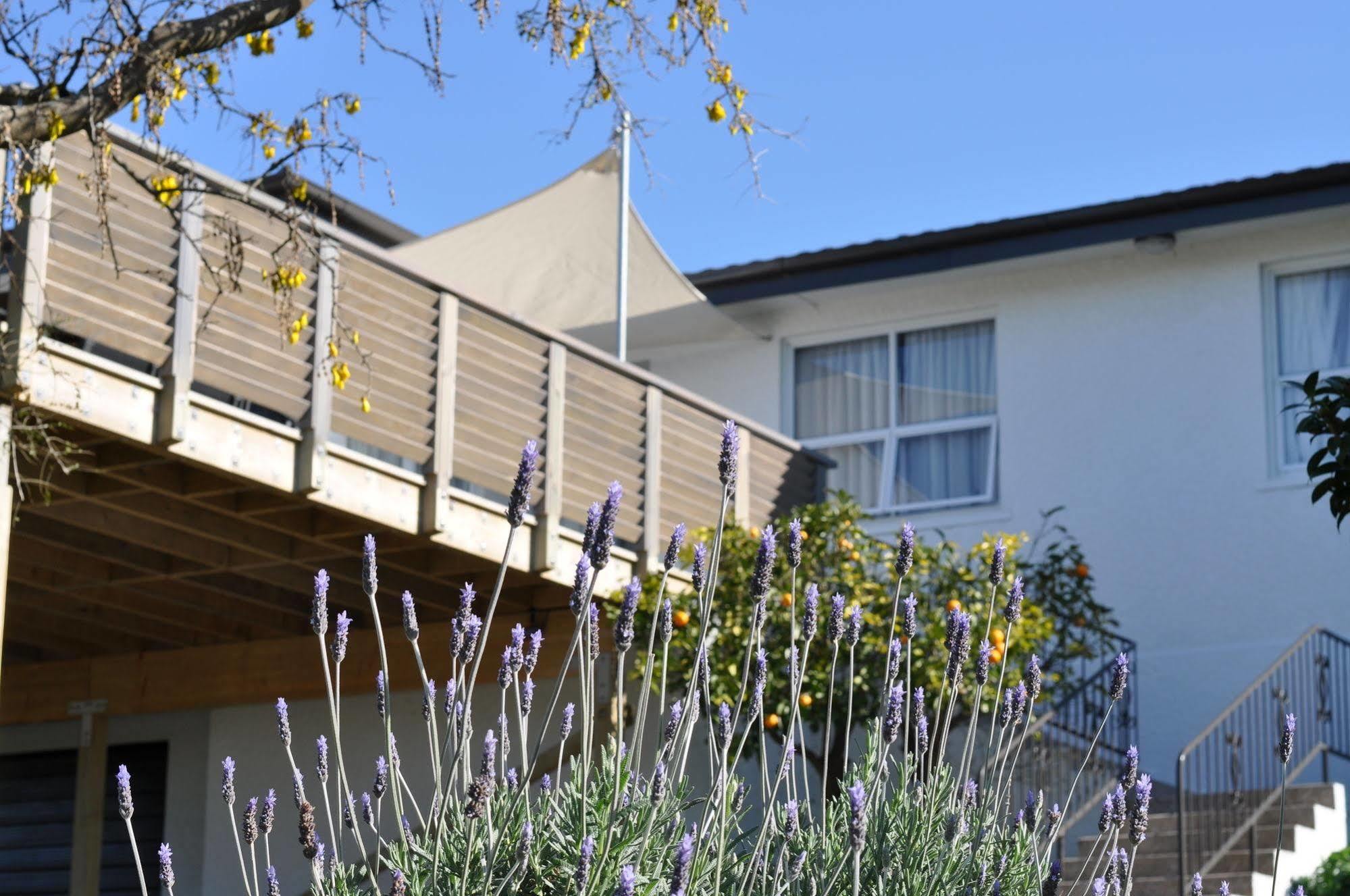 16 Havelock Bed and Breakfast New Plymouth Eksteriør billede